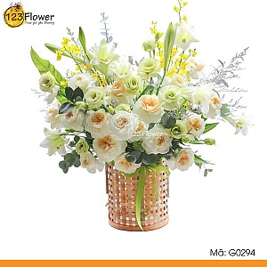 G0294