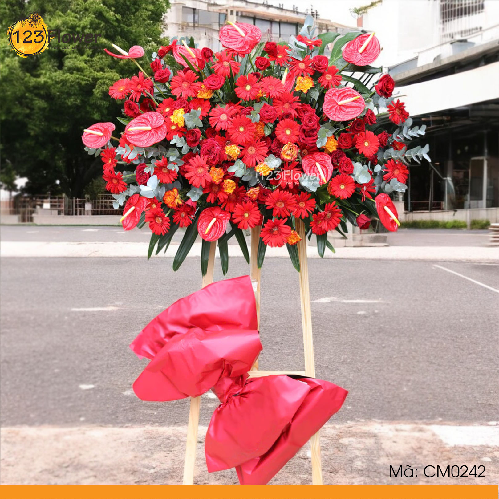 CM0242 | Kệ chúc mừng 242