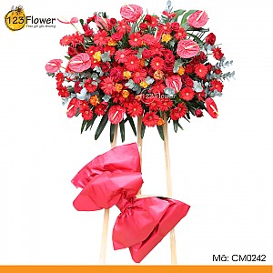 CM0242 | Kệ chúc mừng 242