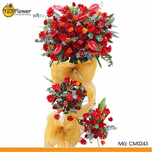 CM0243