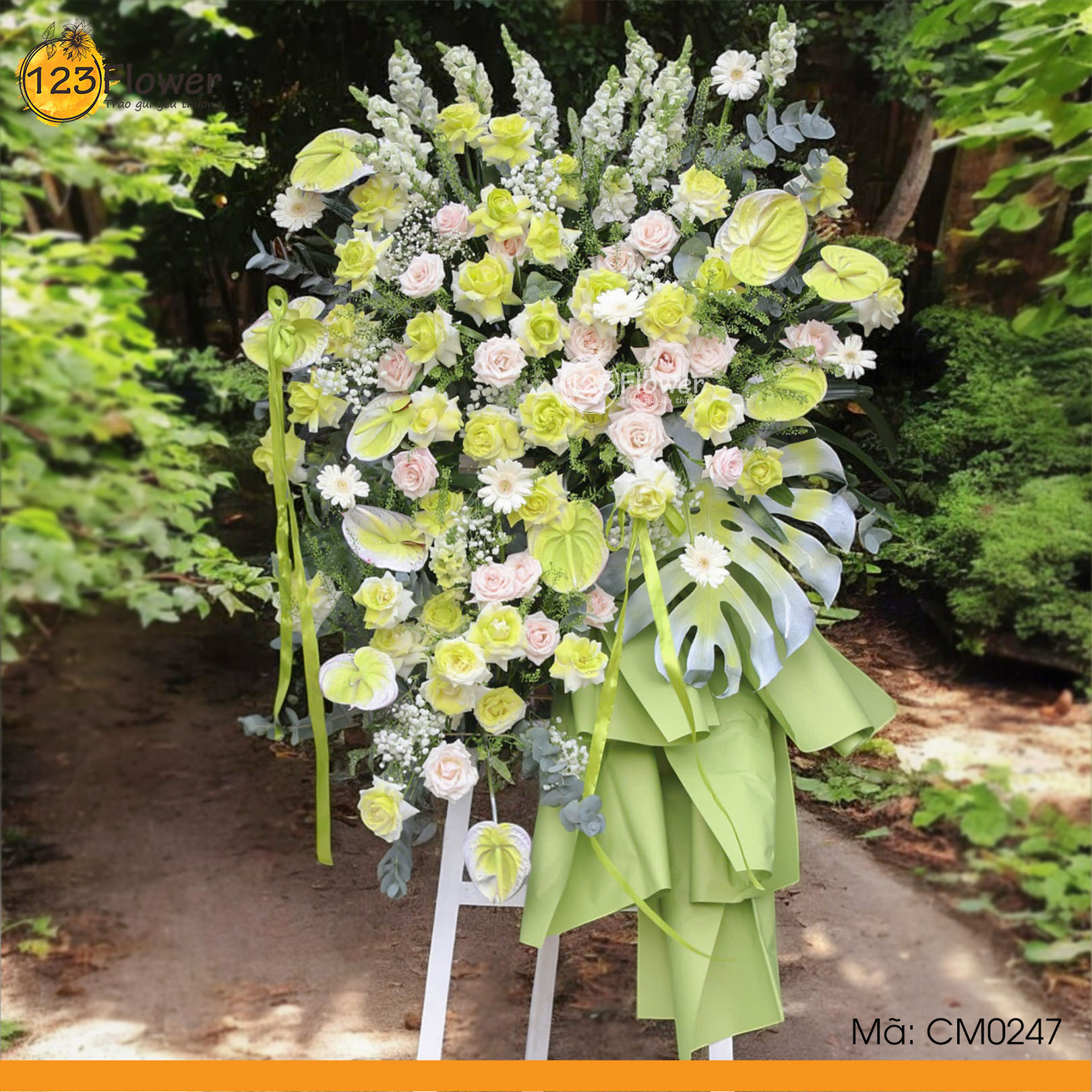 CM0247 | Kệ chúc mừng 247
