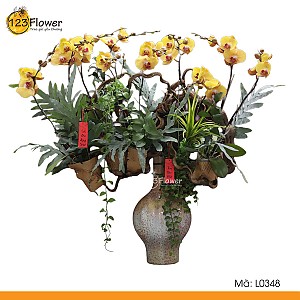 L0348 | Lan Hồ Điệp 348