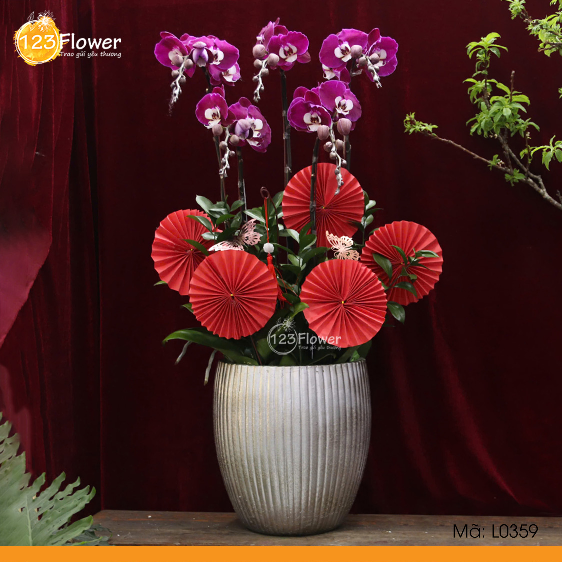 L0359 | Lan Hồ Điệp 359