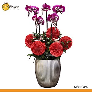 L0359 | Lan Hồ Điệp 359