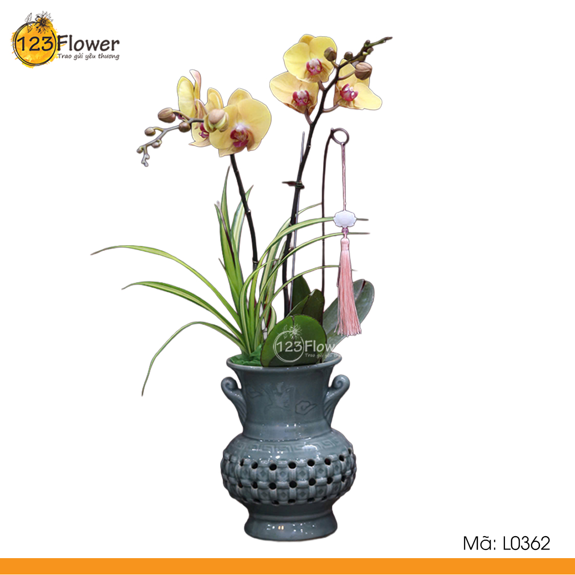 L0362 | Lan Hồ Điệp 362