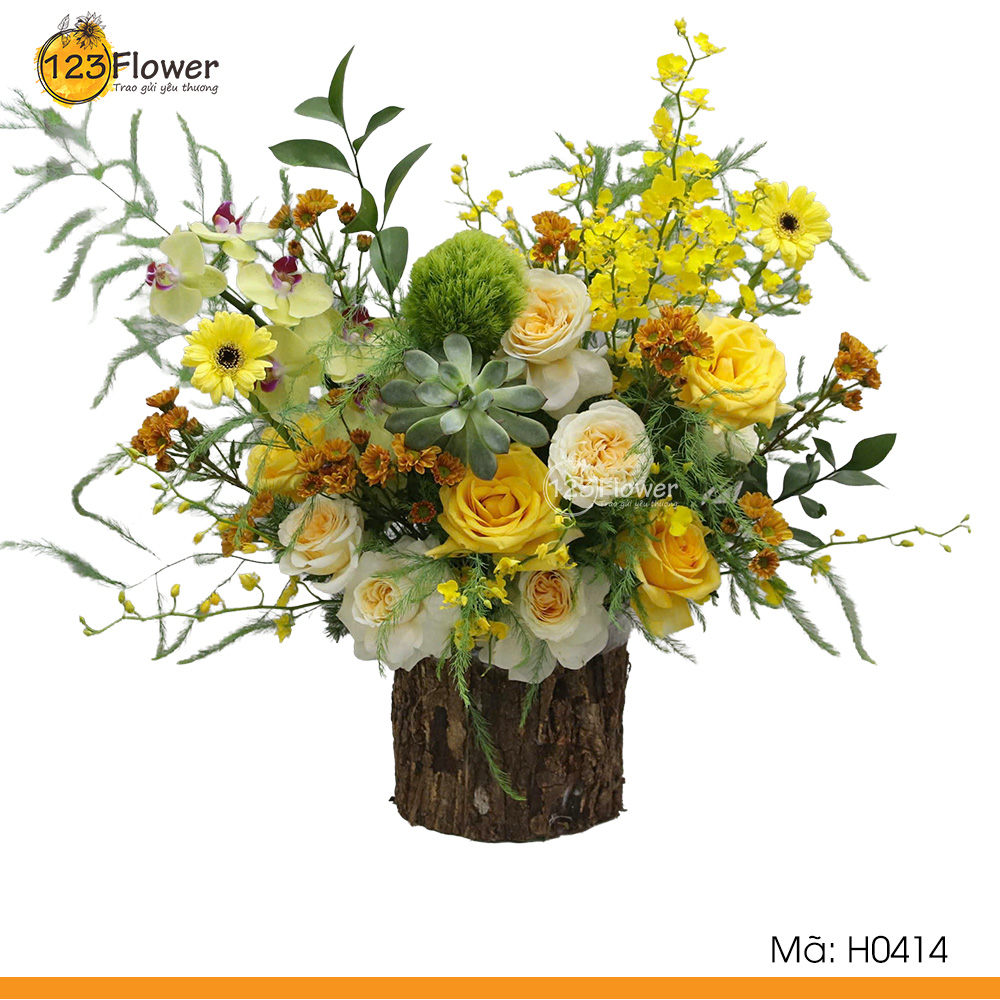 H0414 | Hộp hoa 414